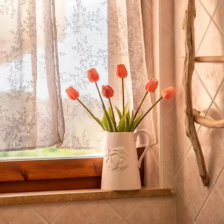 Am Holidays * Alghero